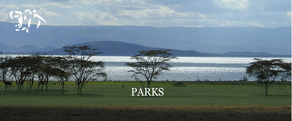 naivasha parks